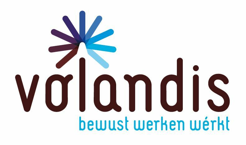 Logo volandis